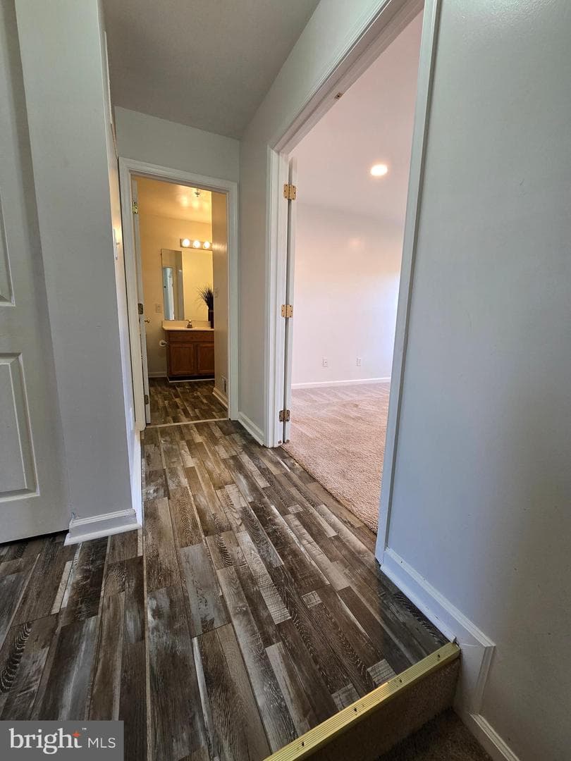 56 Oxford Court photo 26