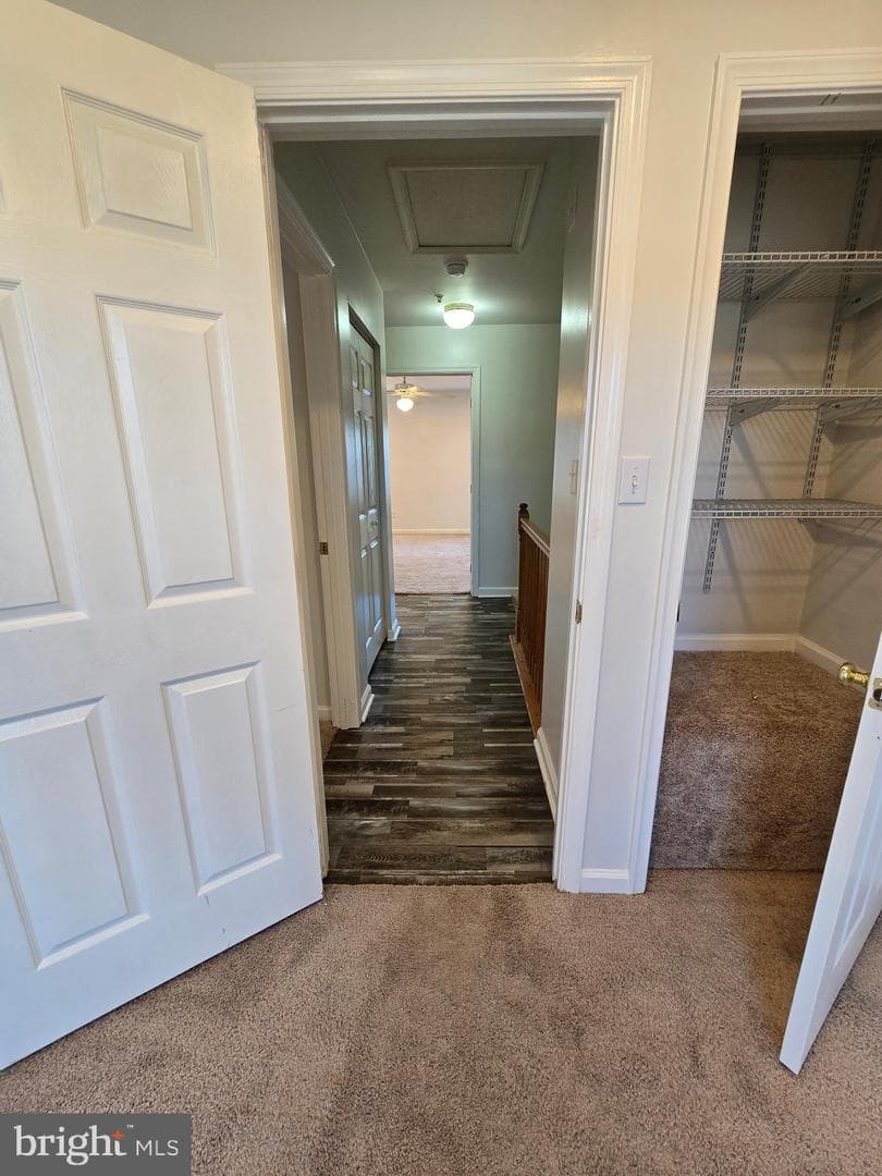 56 Oxford Court photo 41