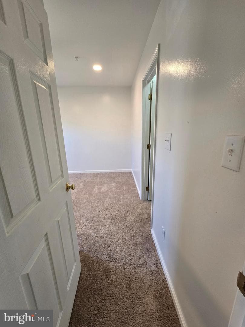 56 Oxford Court photo 42