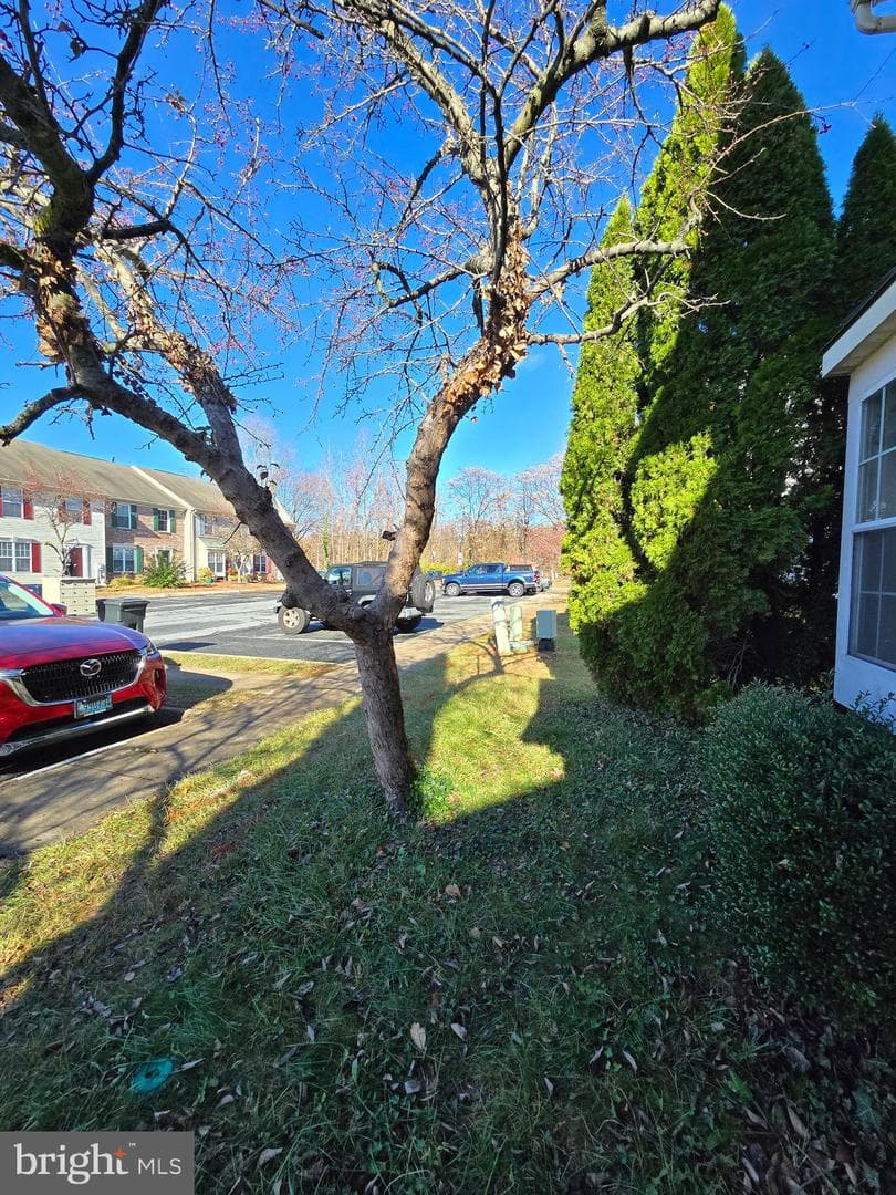 56 Oxford Court photo 48
