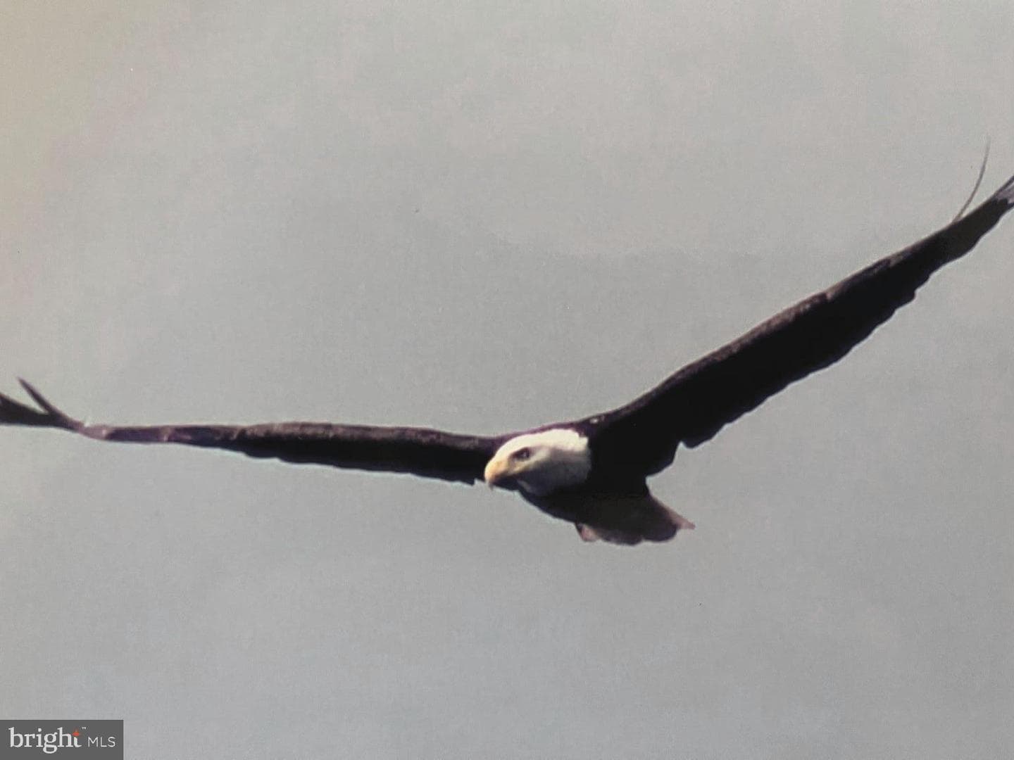 1023 Rowland Drive photo 4