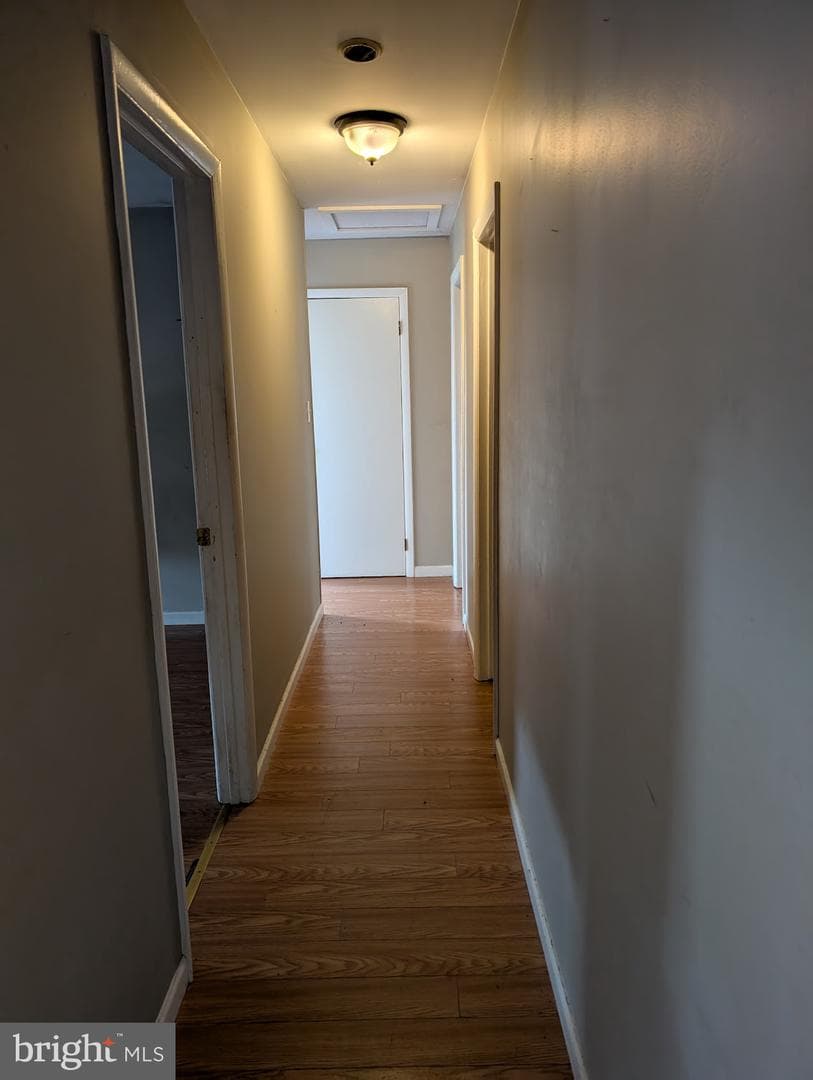 77 Mimosa Lane photo 33
