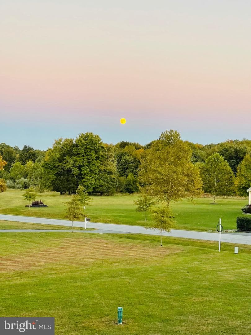 53 Rhodes Mountain Drive photo 60