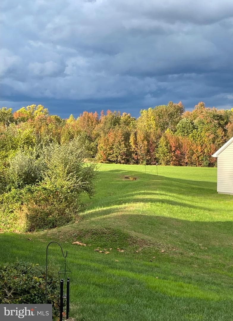 53 Rhodes Mountain Drive photo 61