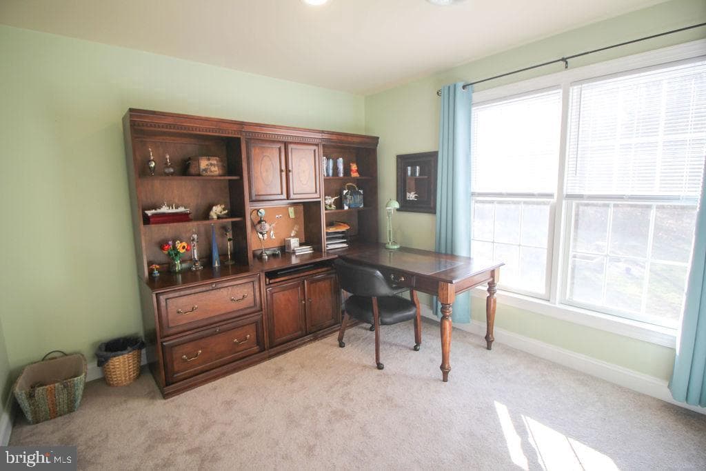 124 Maryland Drive photo 53