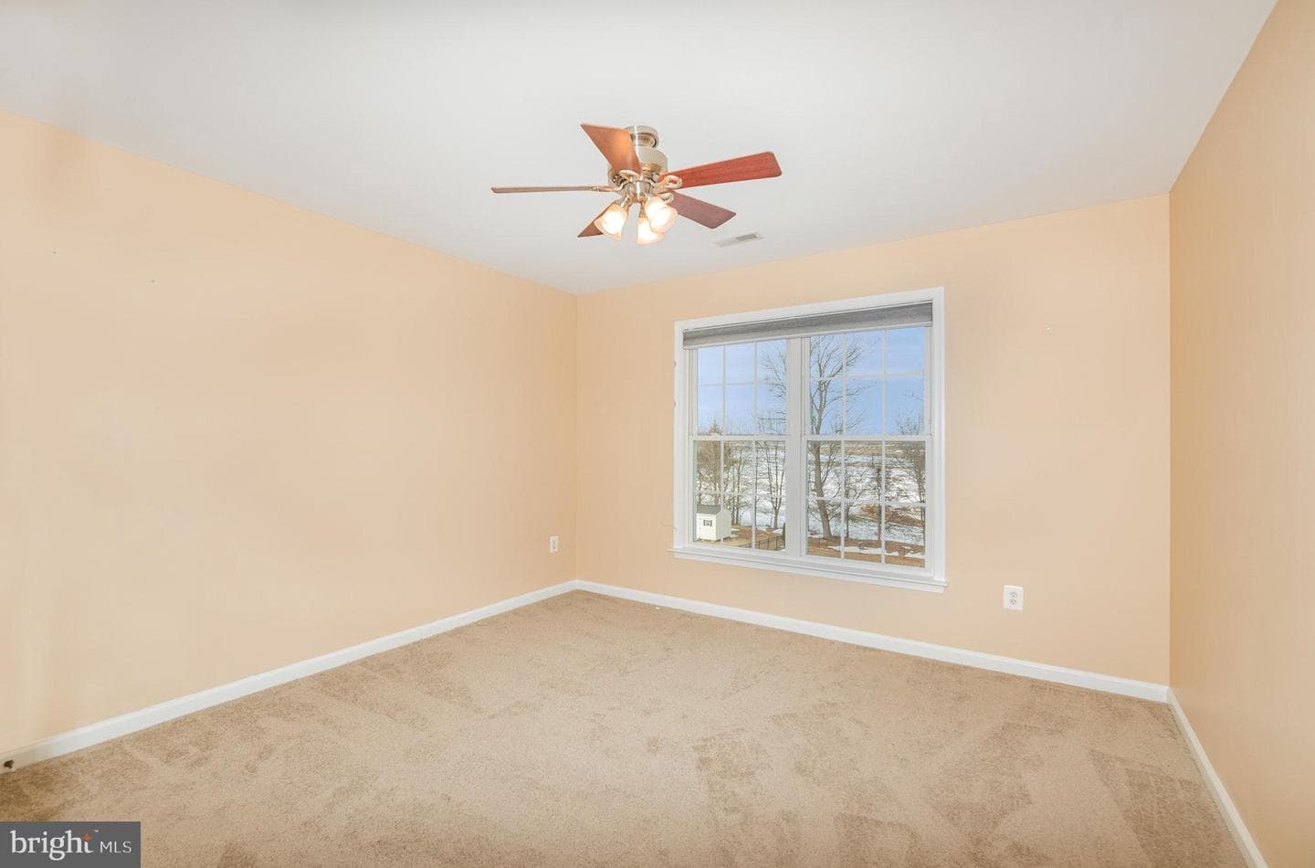 3 Ailsa Court photo 25