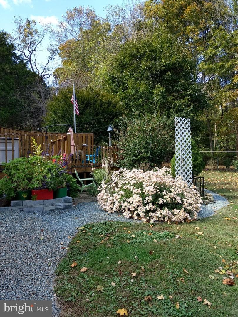 631 McCauley Road photo 29