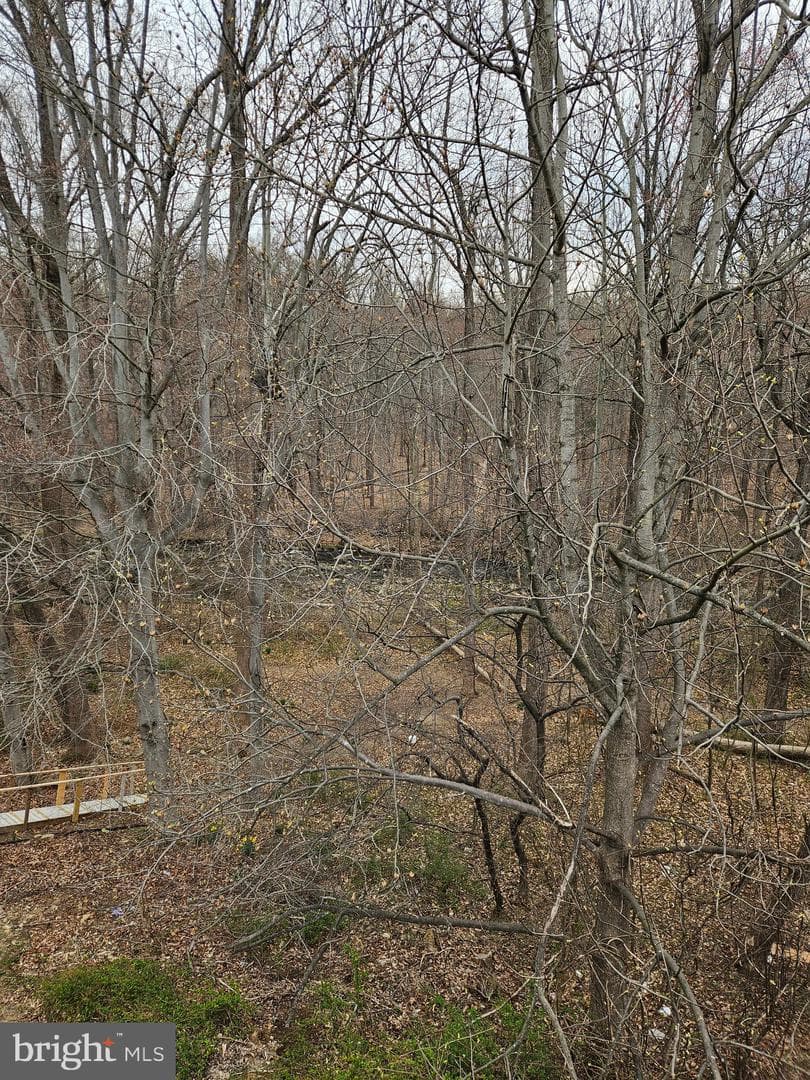 50 Hickory Drive photo 16