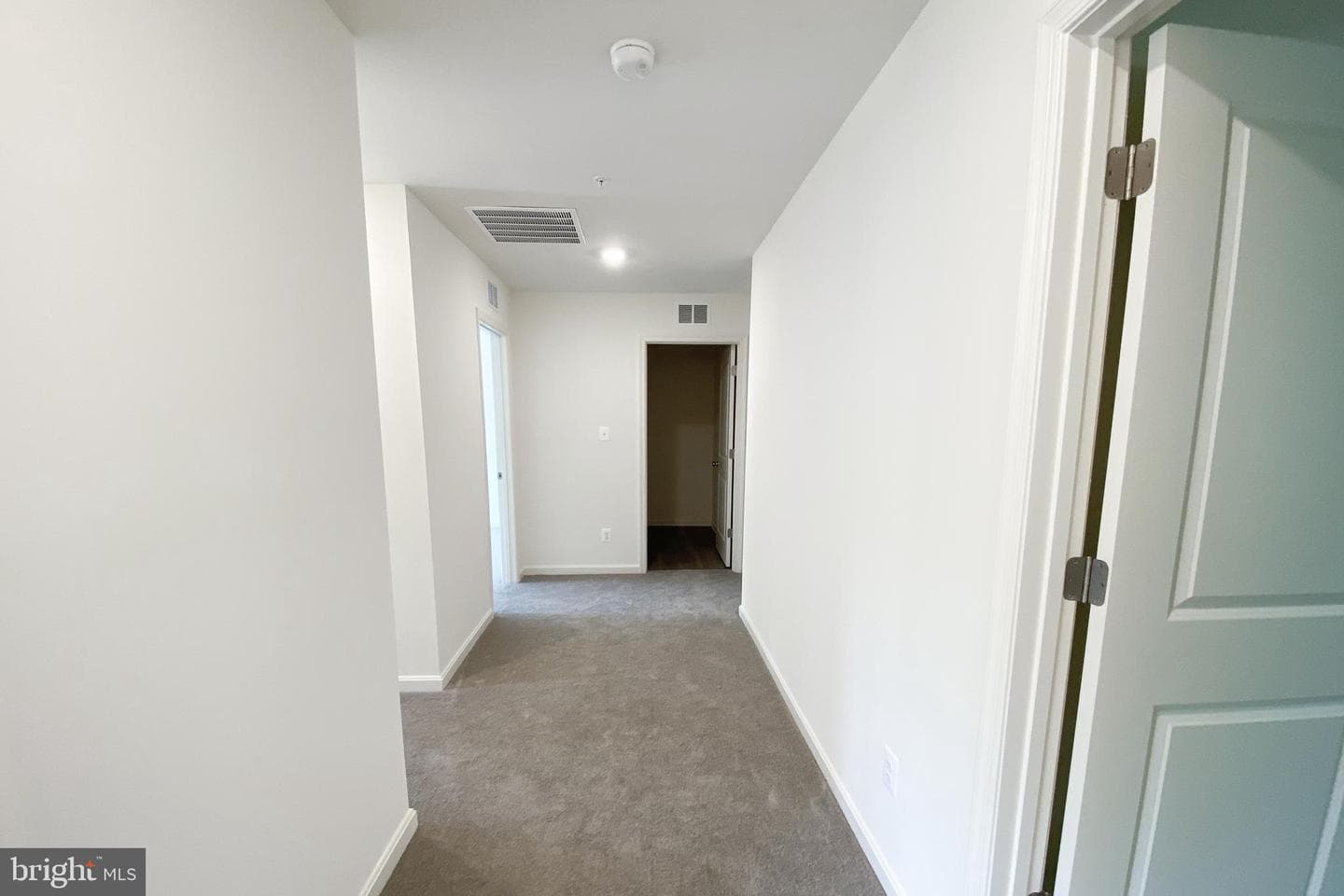 42 Madison Paige Drive photo 18