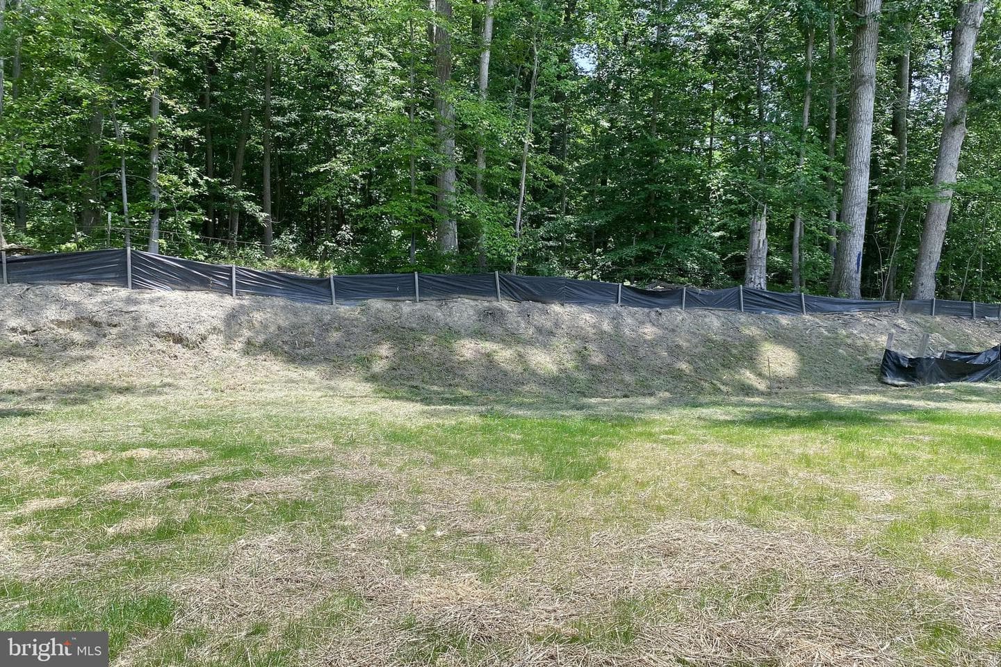 42 Madison Paige Drive photo 8