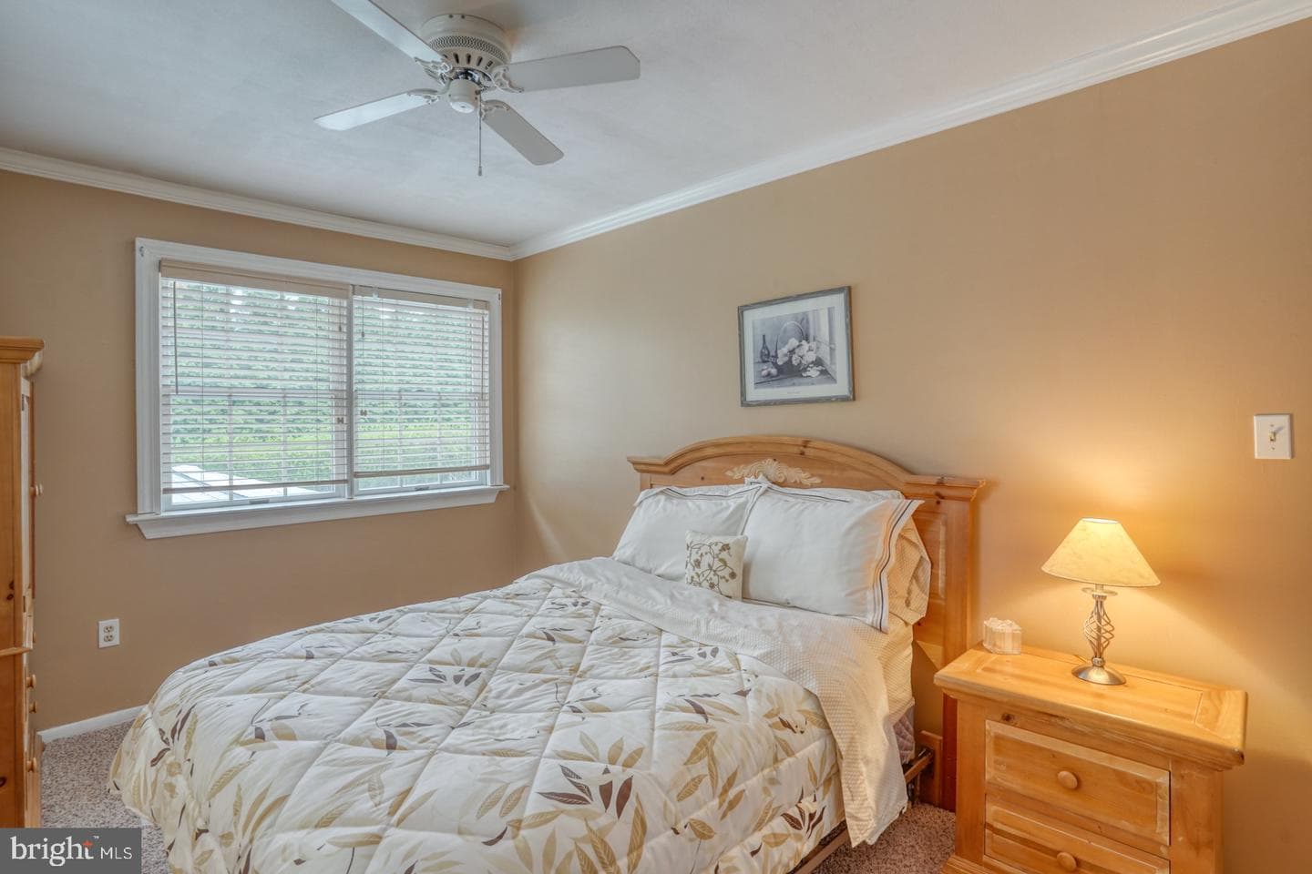 111 Dennis Drive photo 33