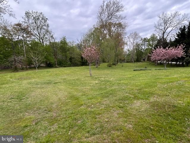 39 Riverside Drive photo 10