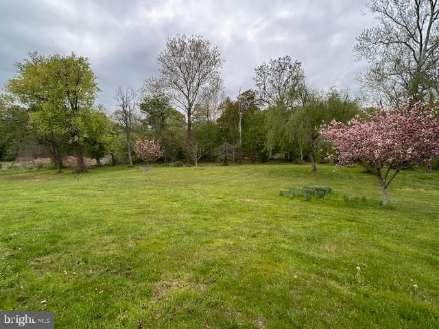 39 Riverside Drive photo 12