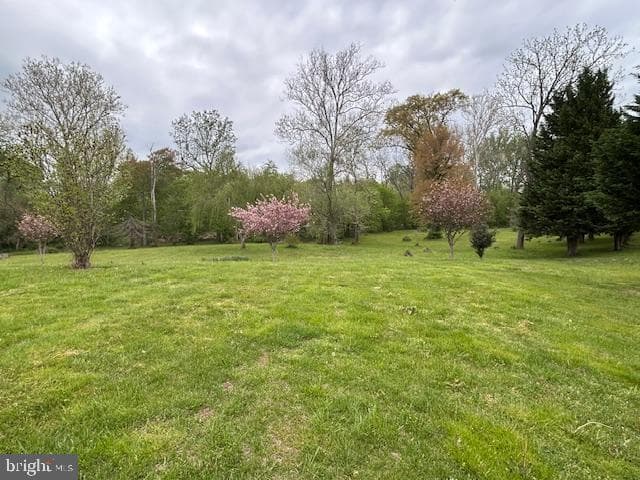 39 Riverside Drive photo 13