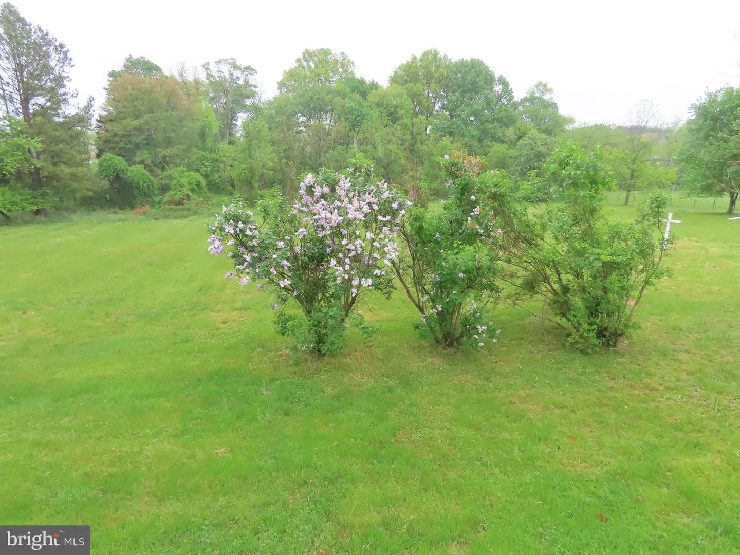 53 Buckwheat Run Road photo 27