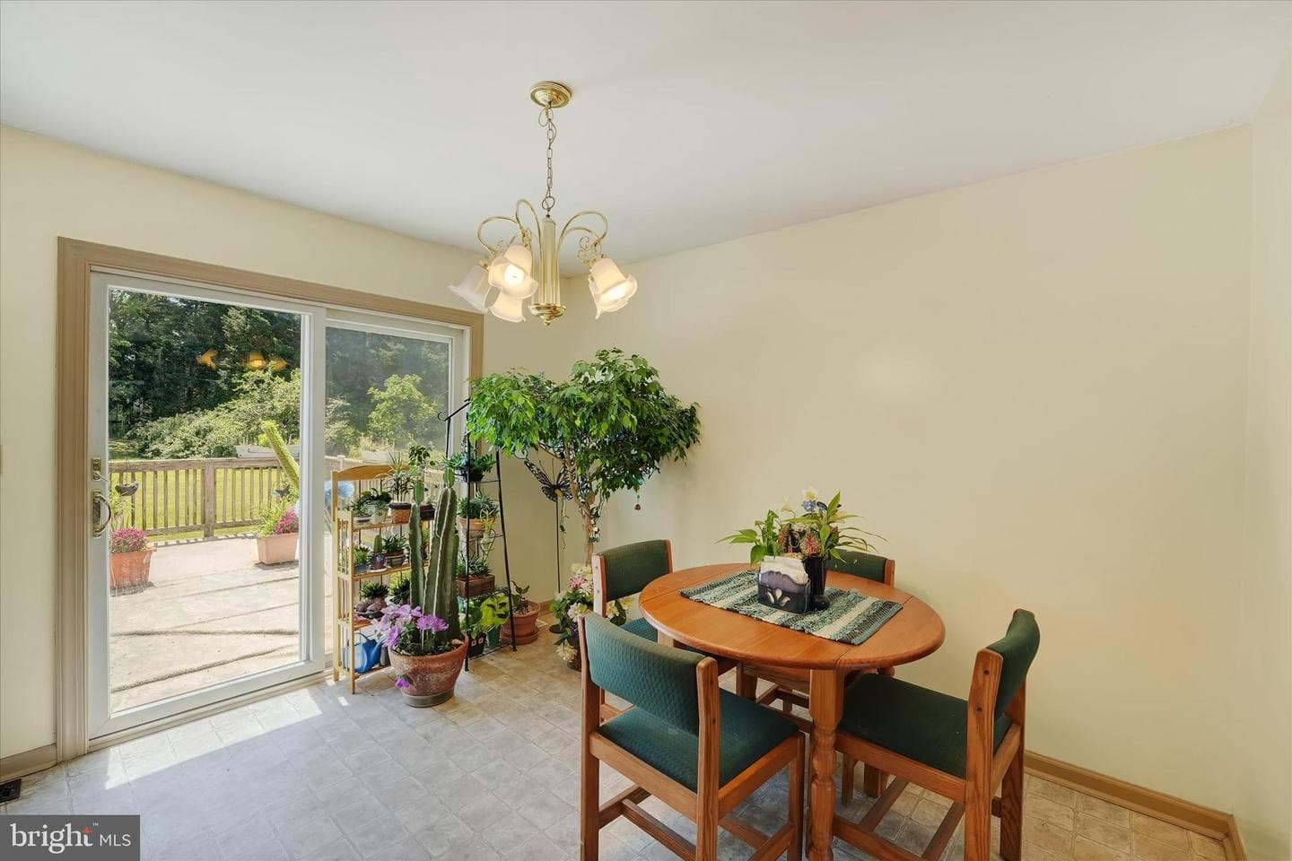 12 Richard Drive photo 9