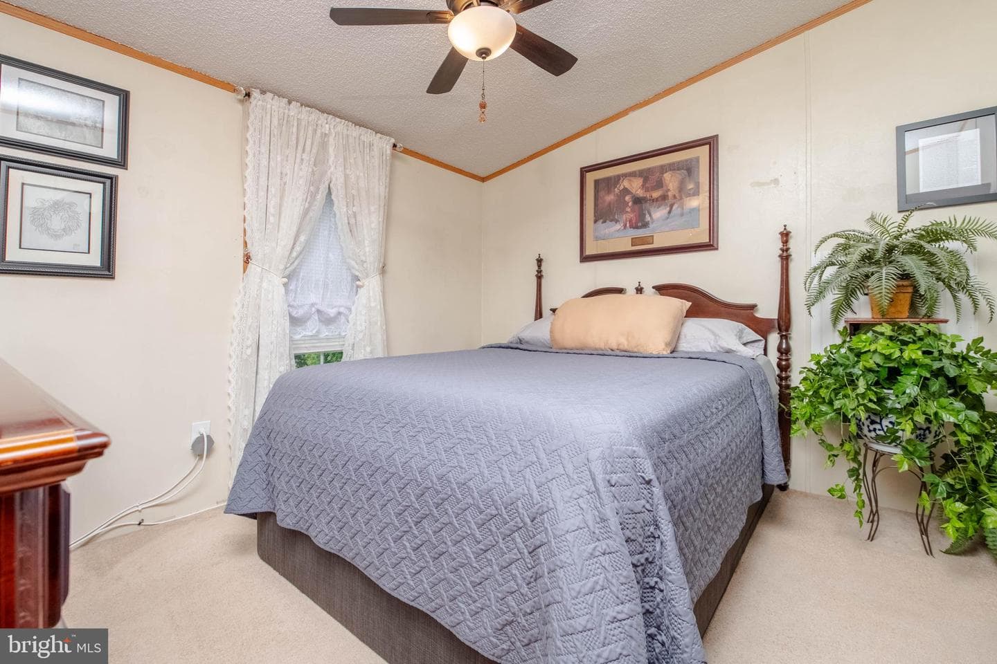 4 Mallard Drive photo 16