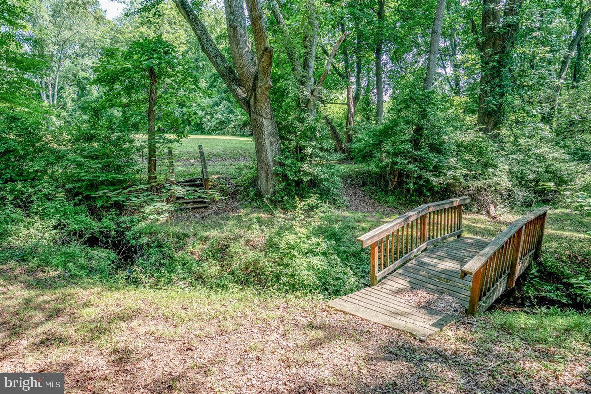 148 Ballantrae Drive photo 29