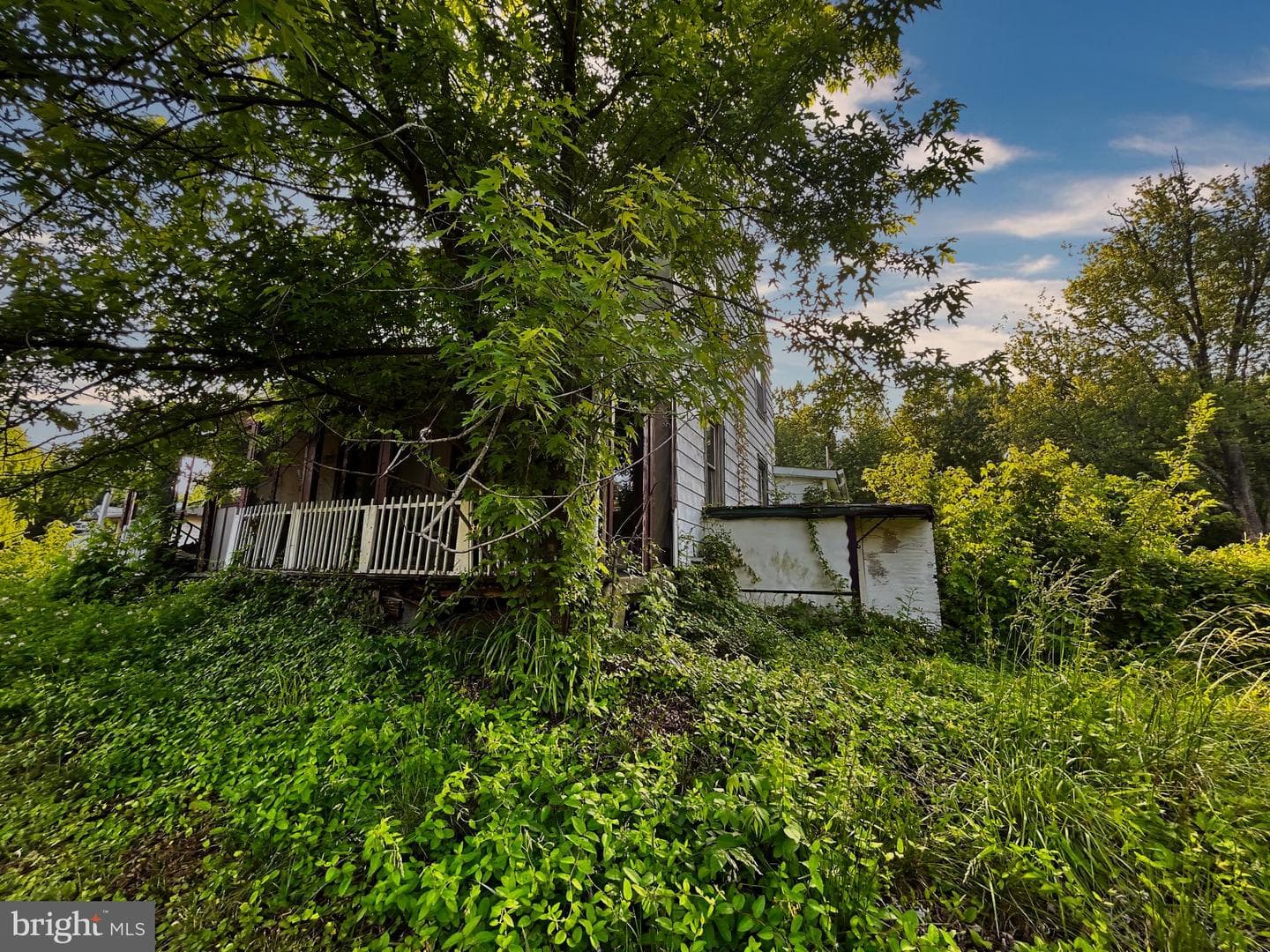 807 Bladen Street photo 5