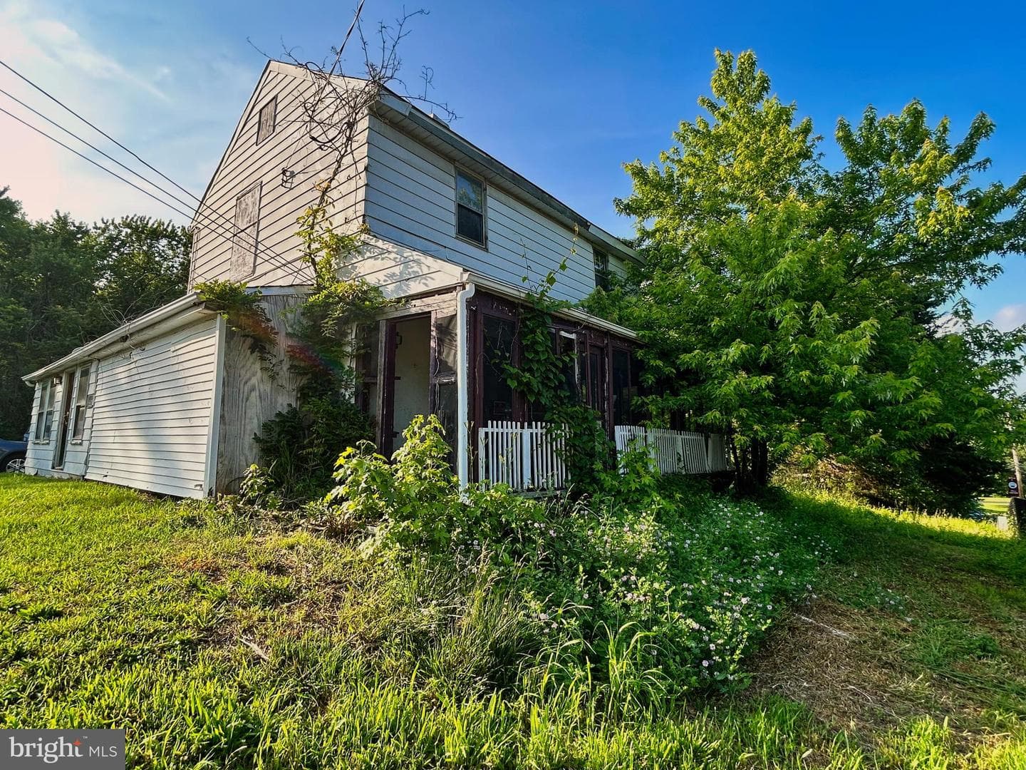 807 Bladen Street photo 6