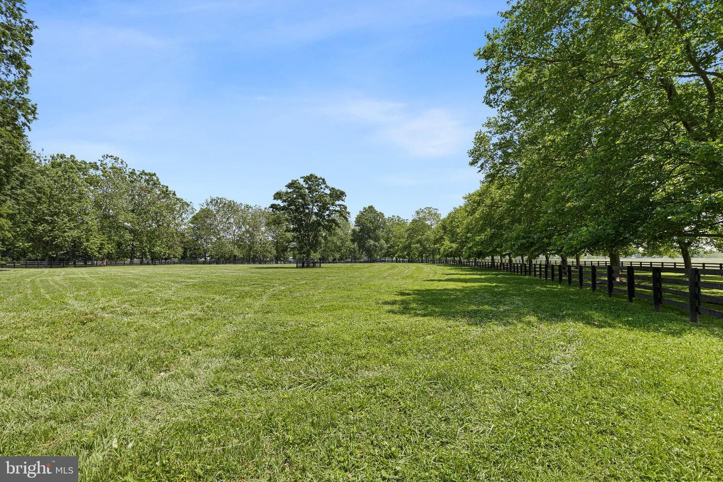 1455 Cayots Corner Road photo 68