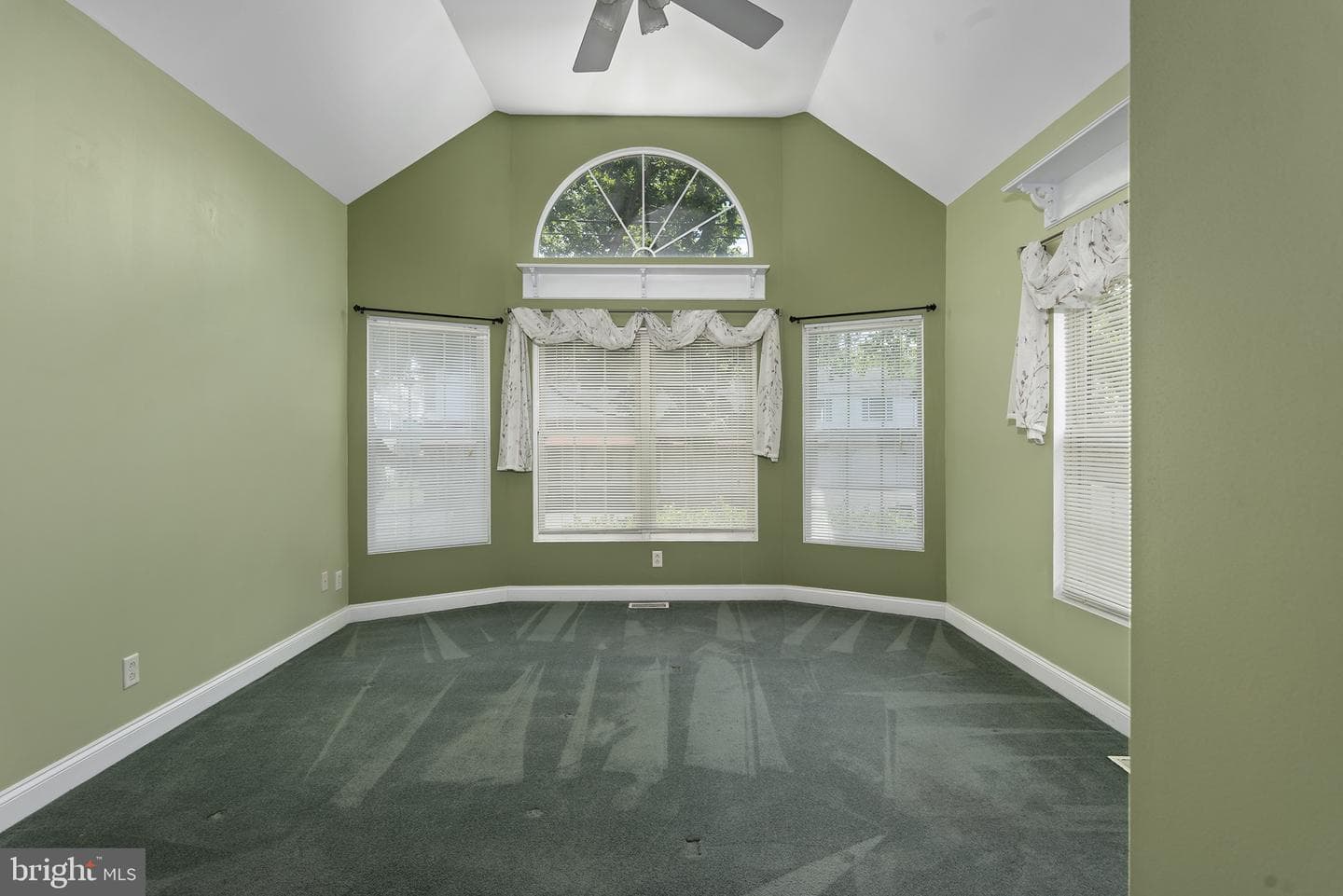 317 George Street photo 22