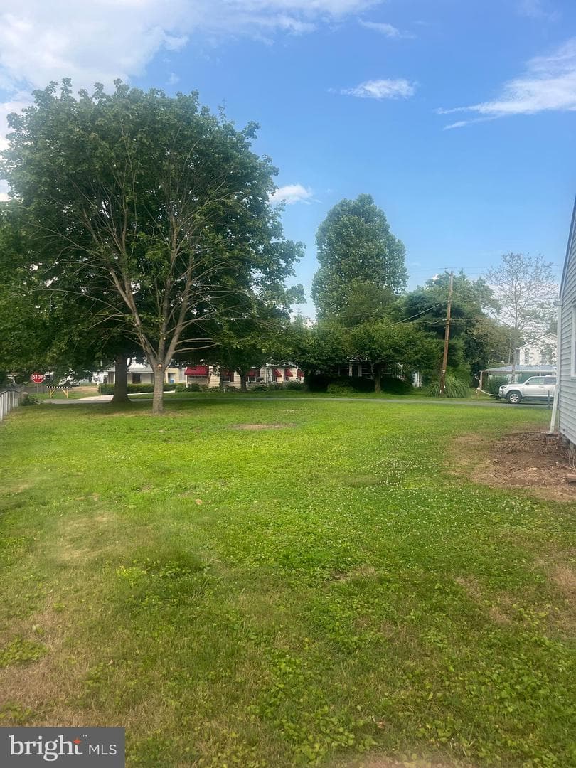 79 Riverview Avenue photo 10