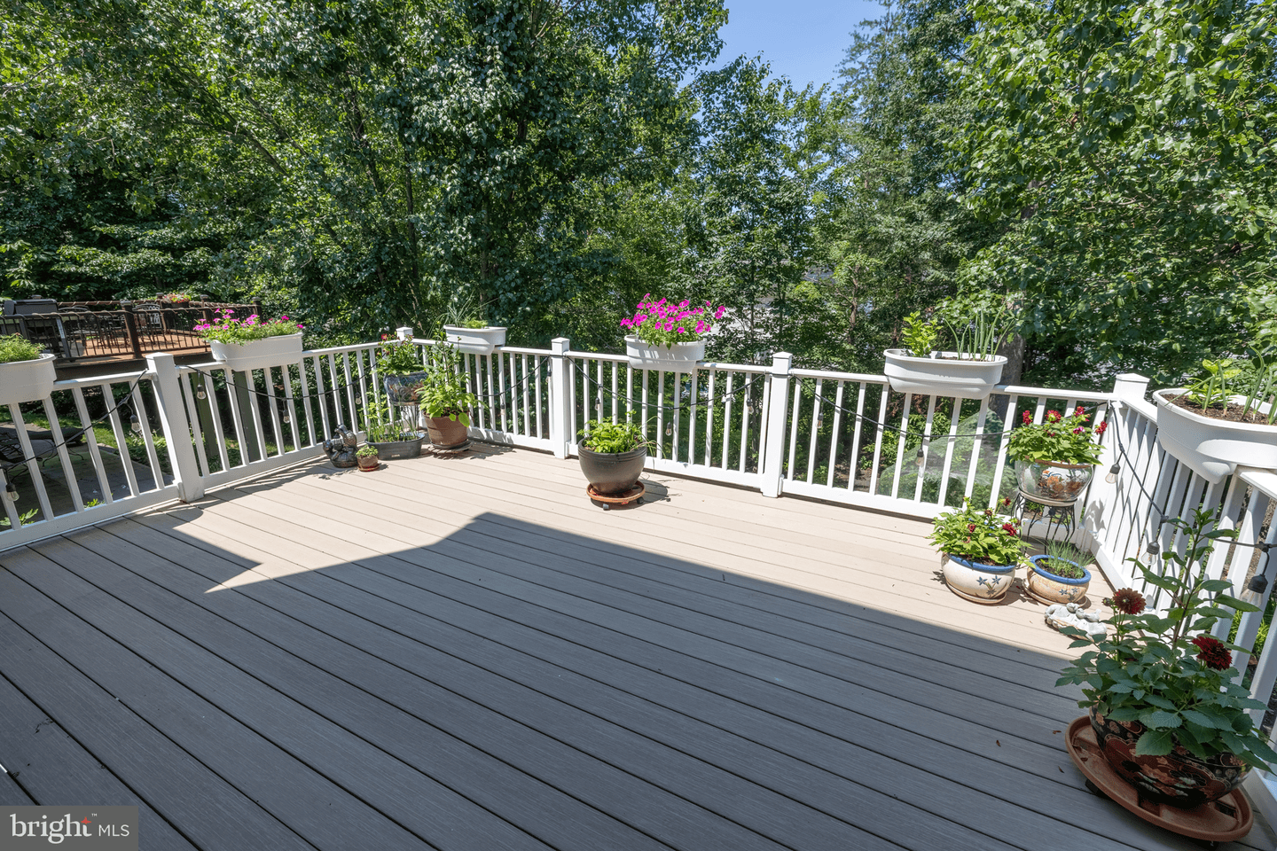 20 McArthur Lane photo 46