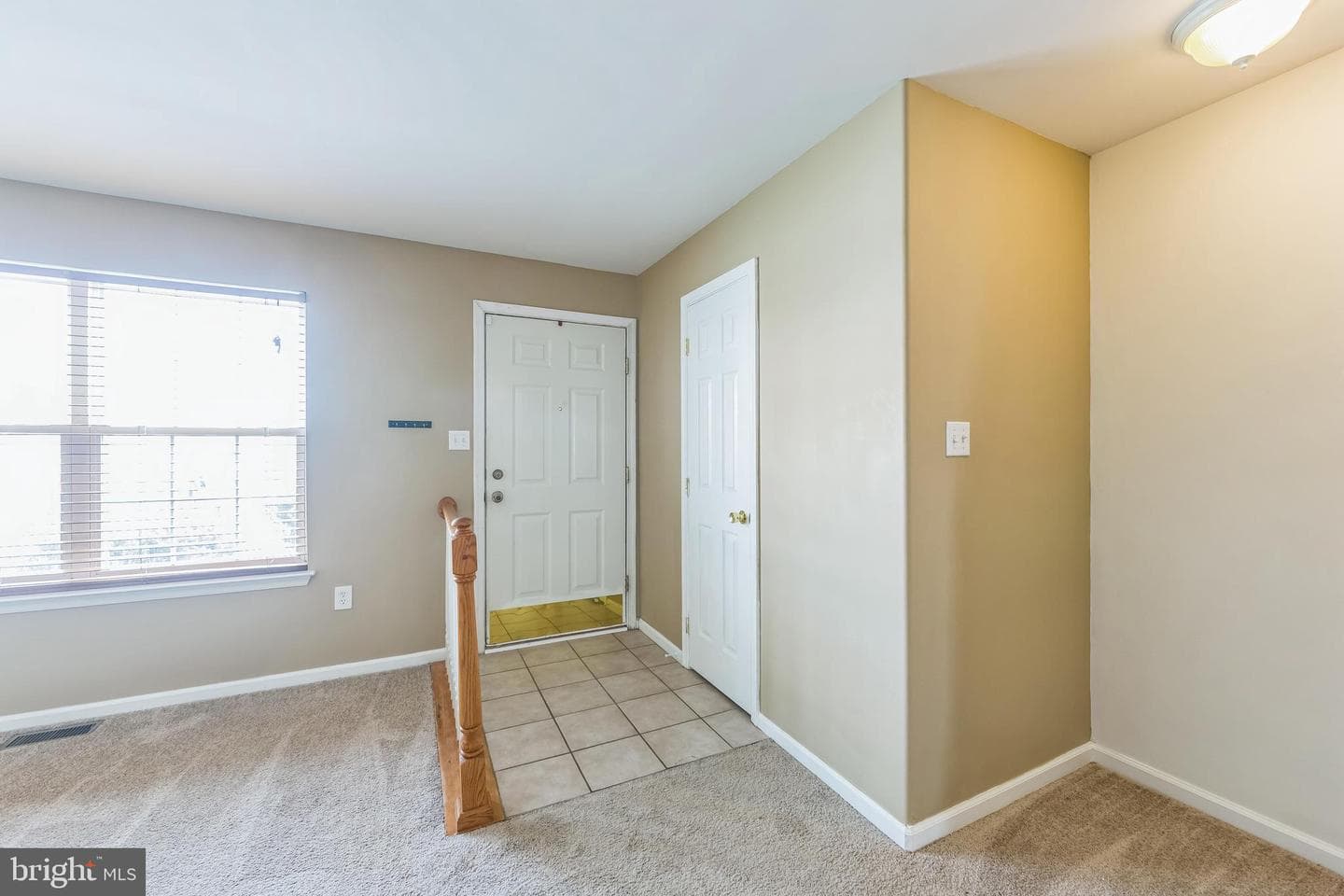 100 Vince Drive photo 4