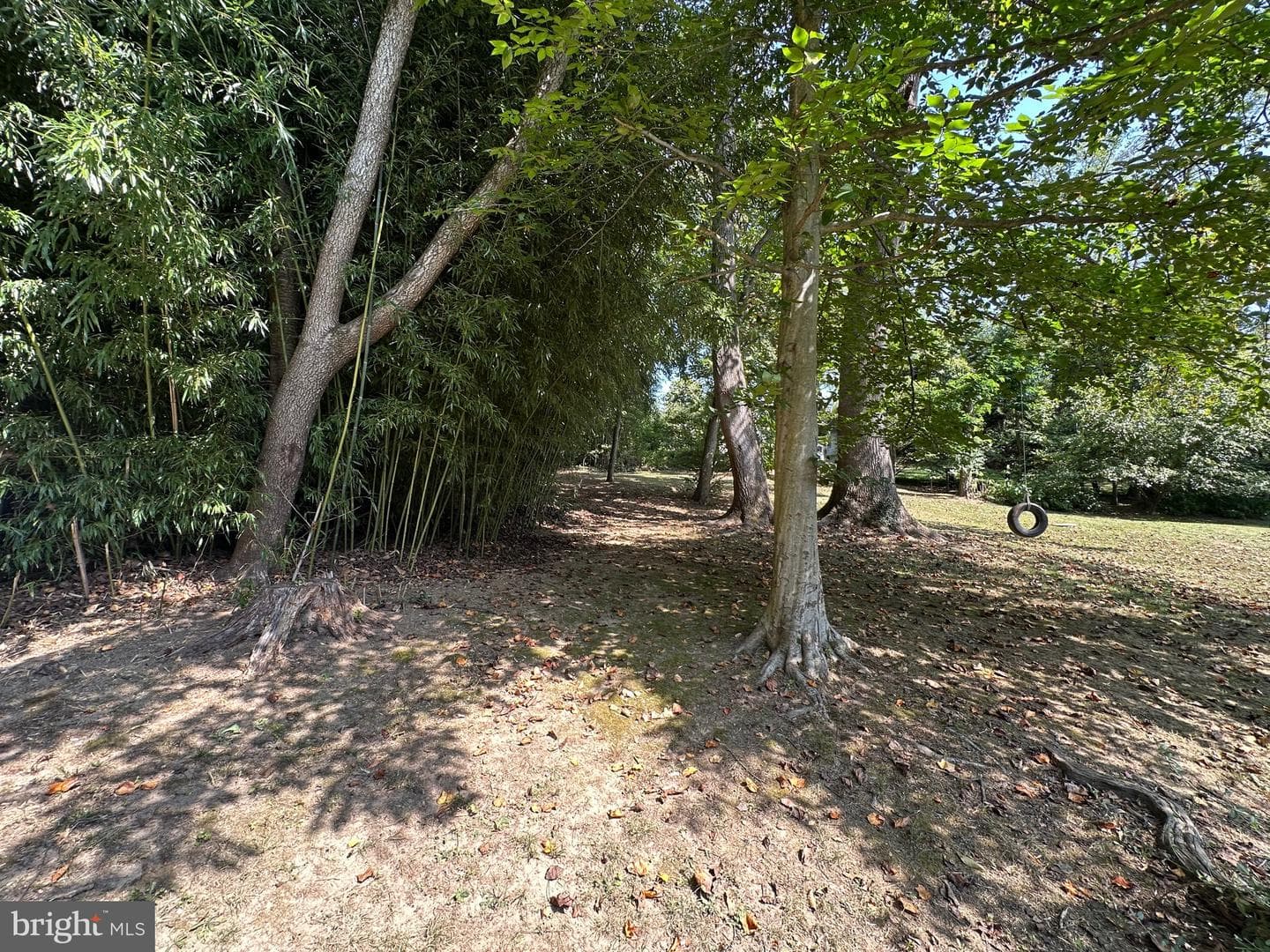 65 Jackson Hall School Road photo 84