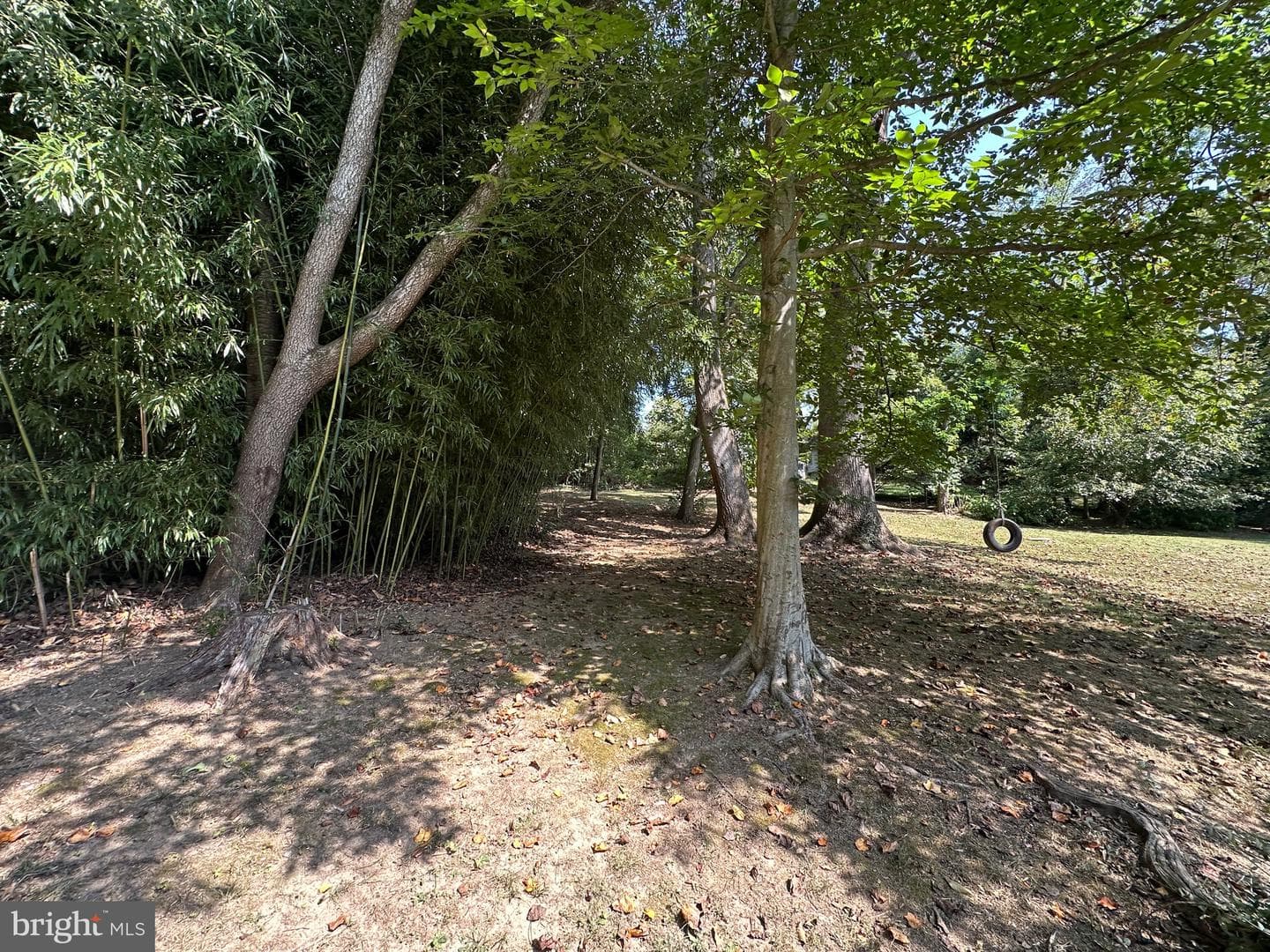 65 Jackson Hall School Road photo 85