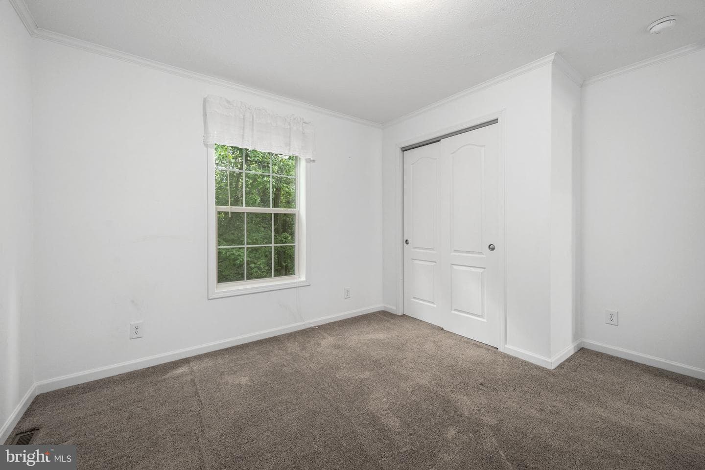 99 Curry Avenue photo 14