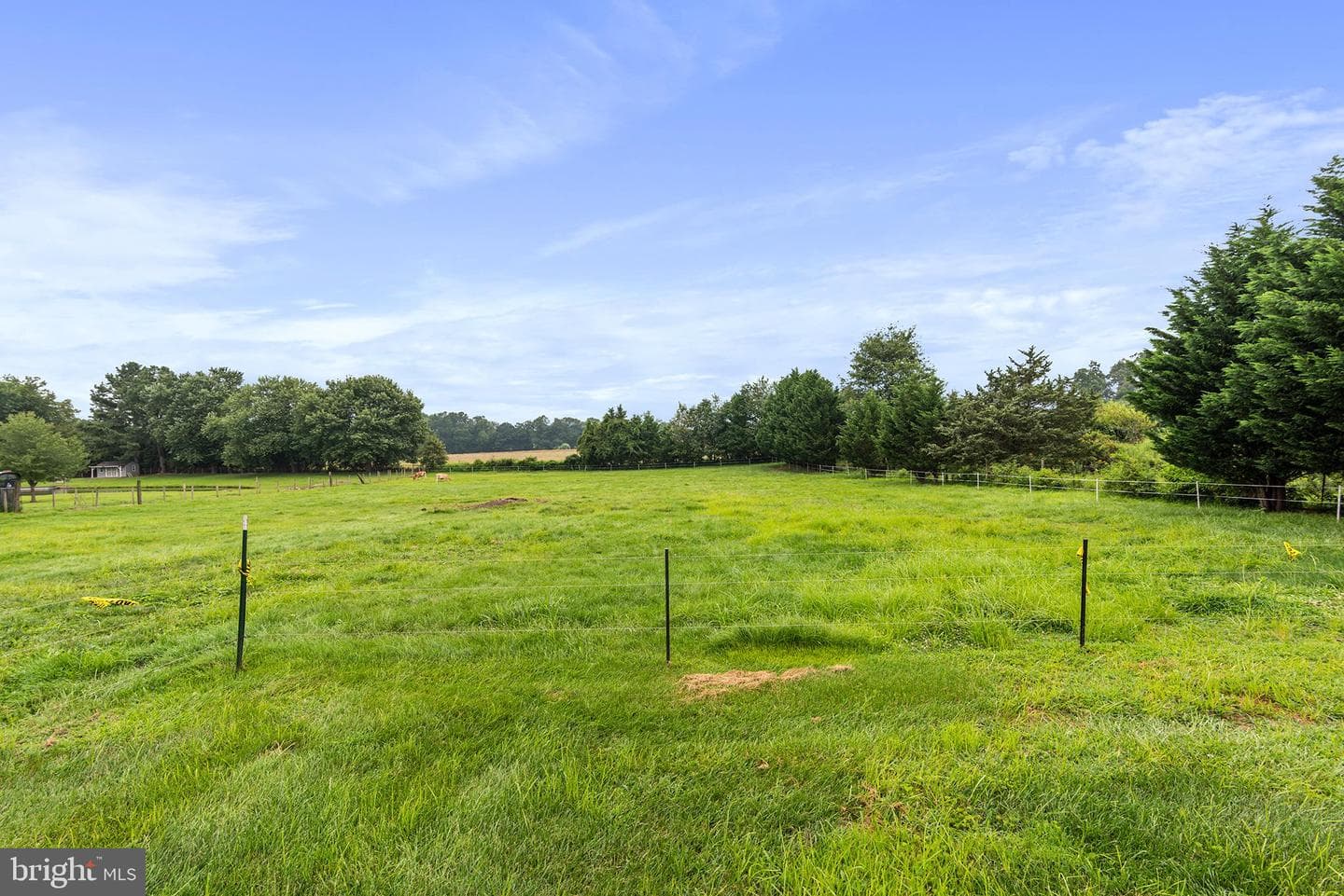 757 Doctor Miller Road photo 62