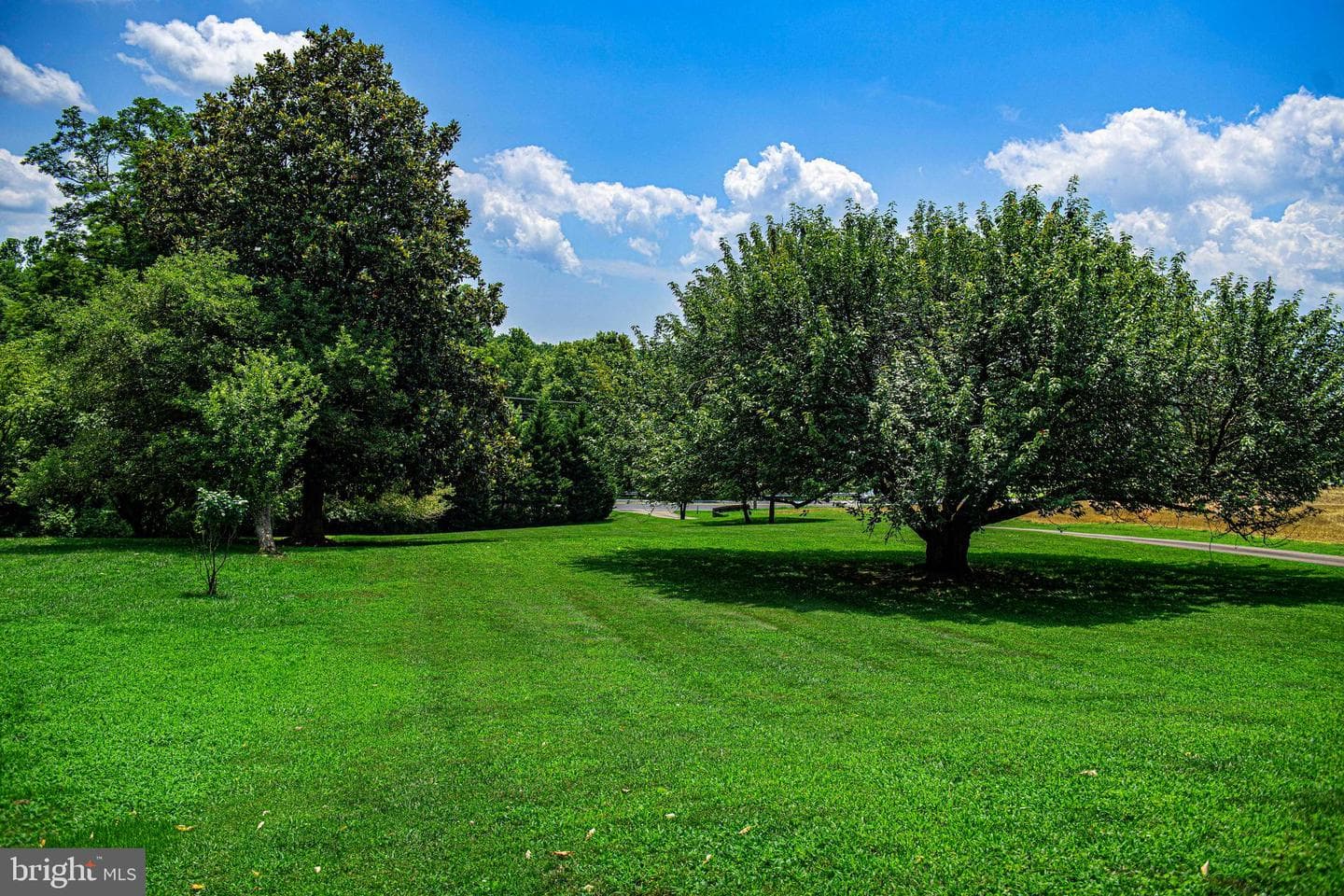 289 Conowingo Road photo 44