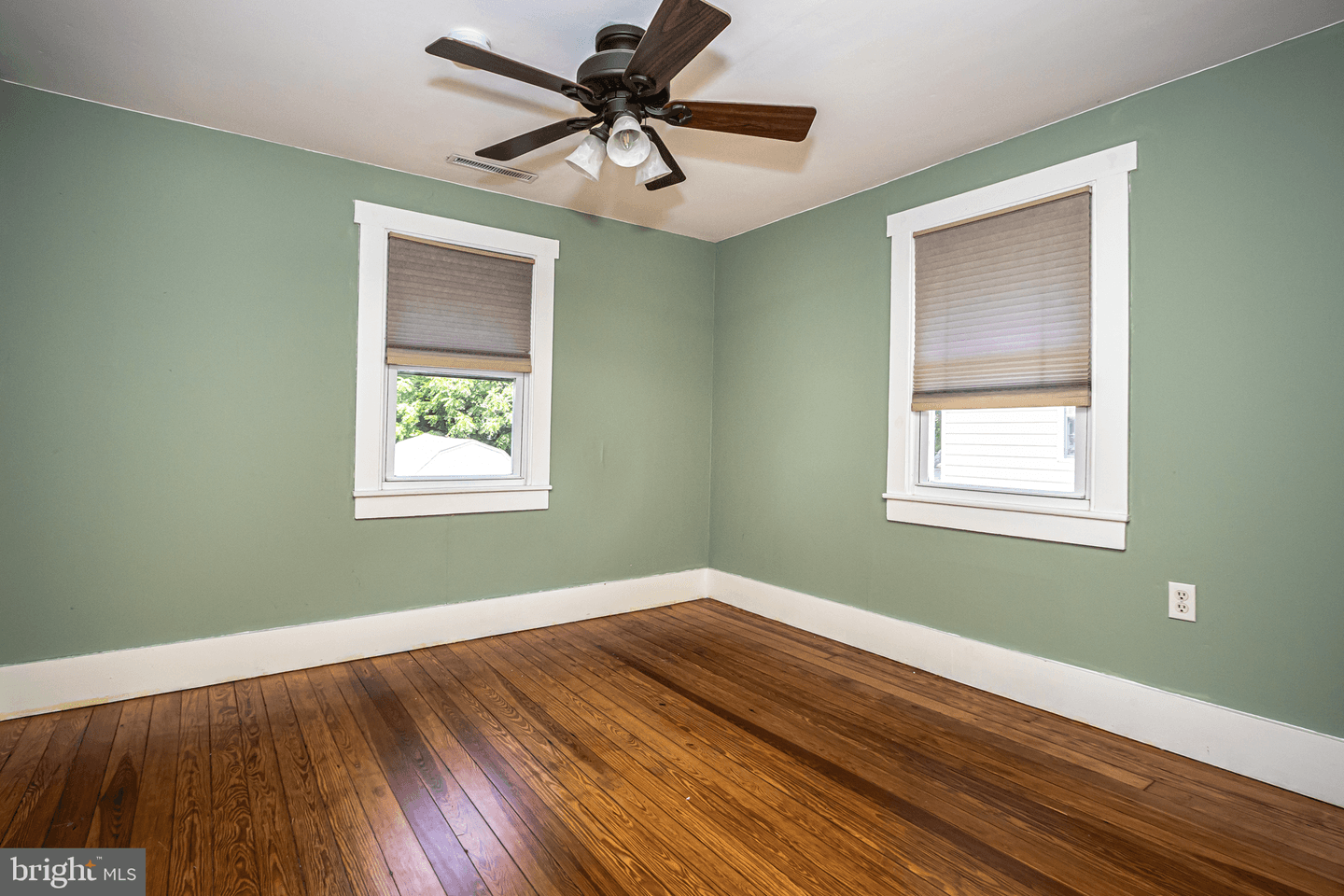 339 Cecil Street photo 13
