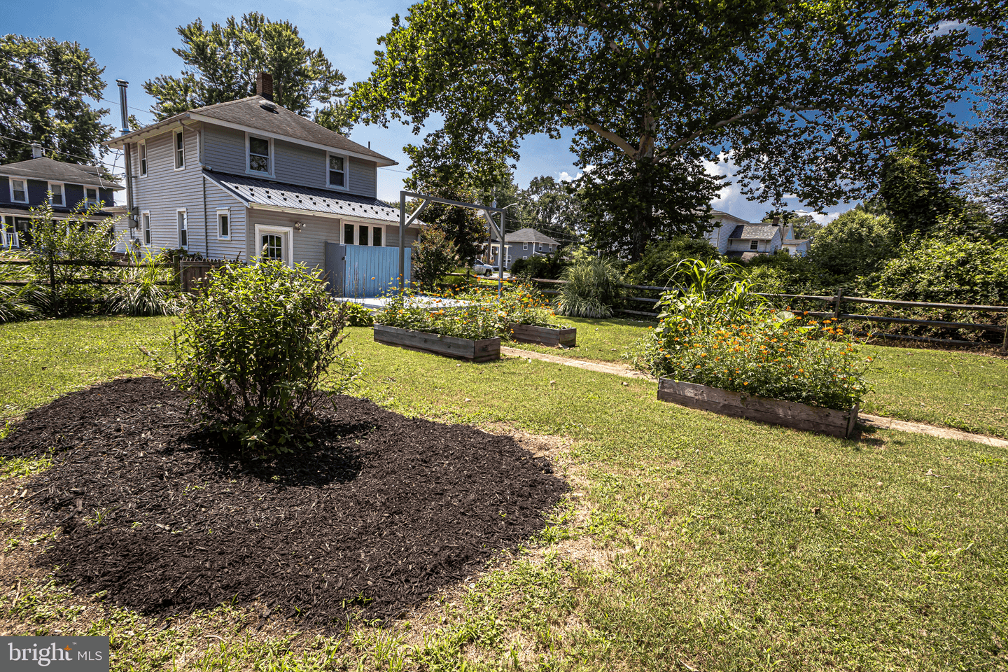 339 Cecil Street photo 22