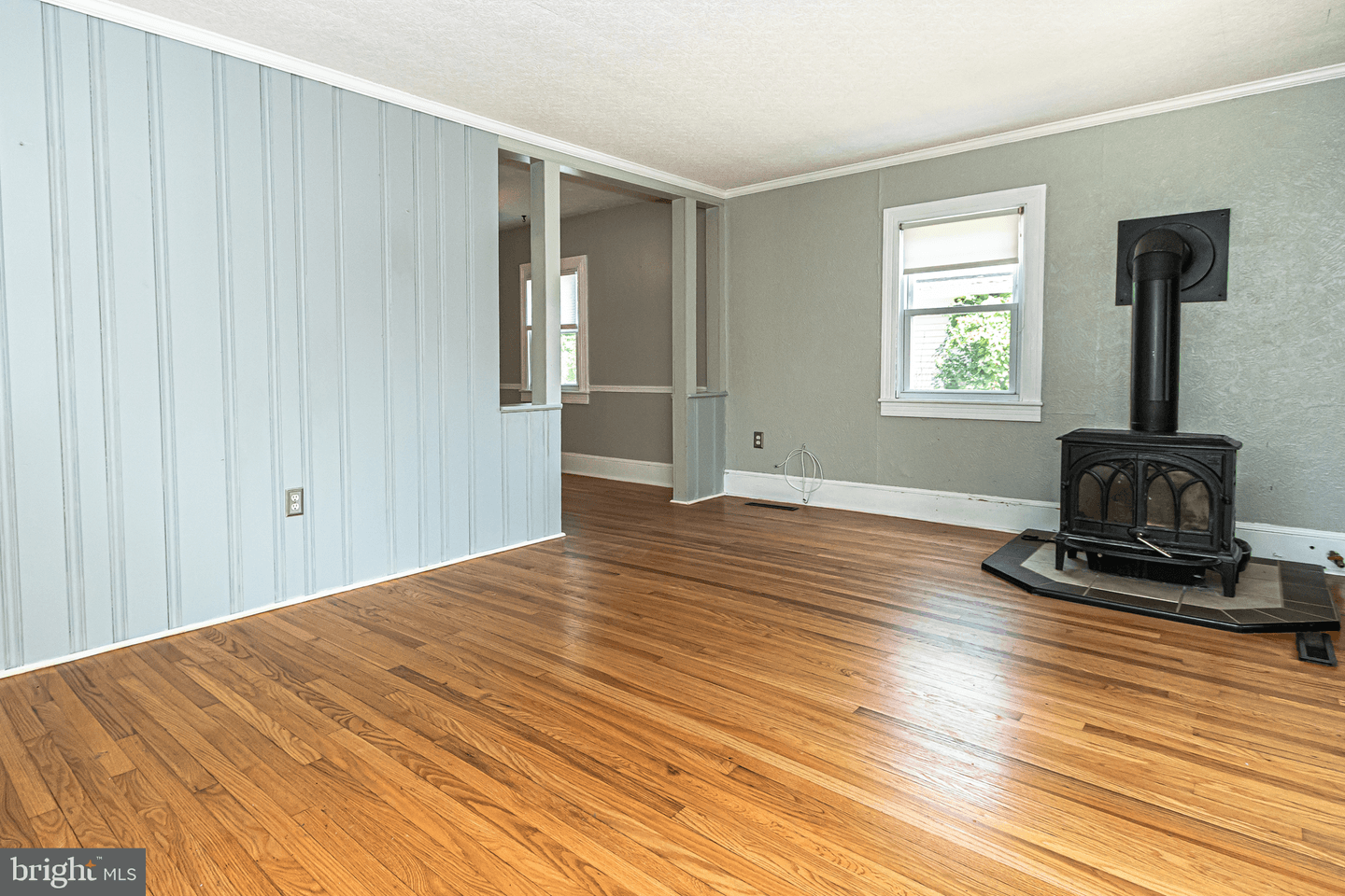 339 Cecil Street photo 3