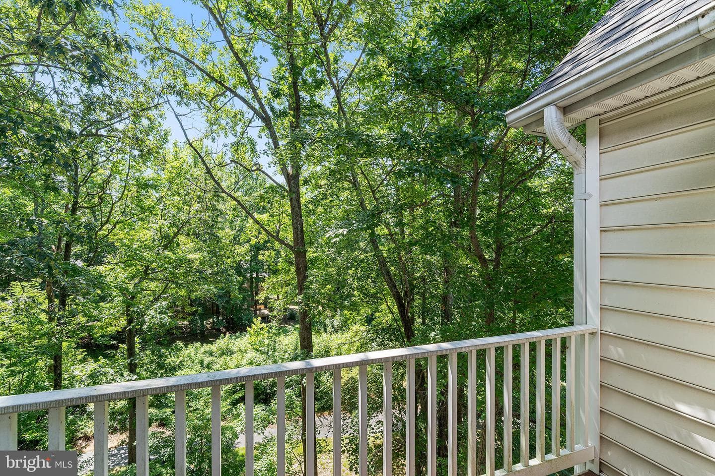 18 Guilford Court photo 23