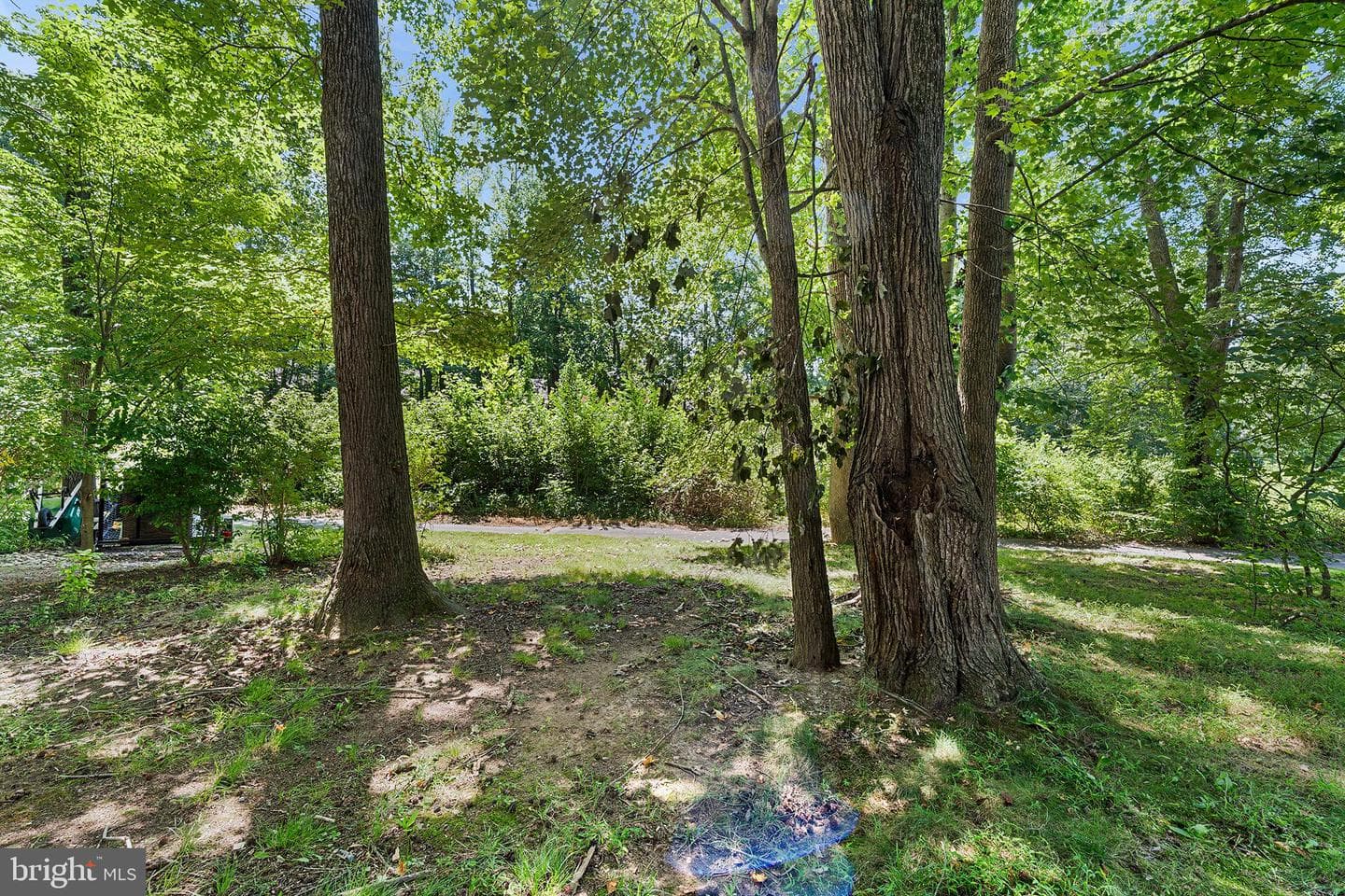 18 Guilford Court photo 36
