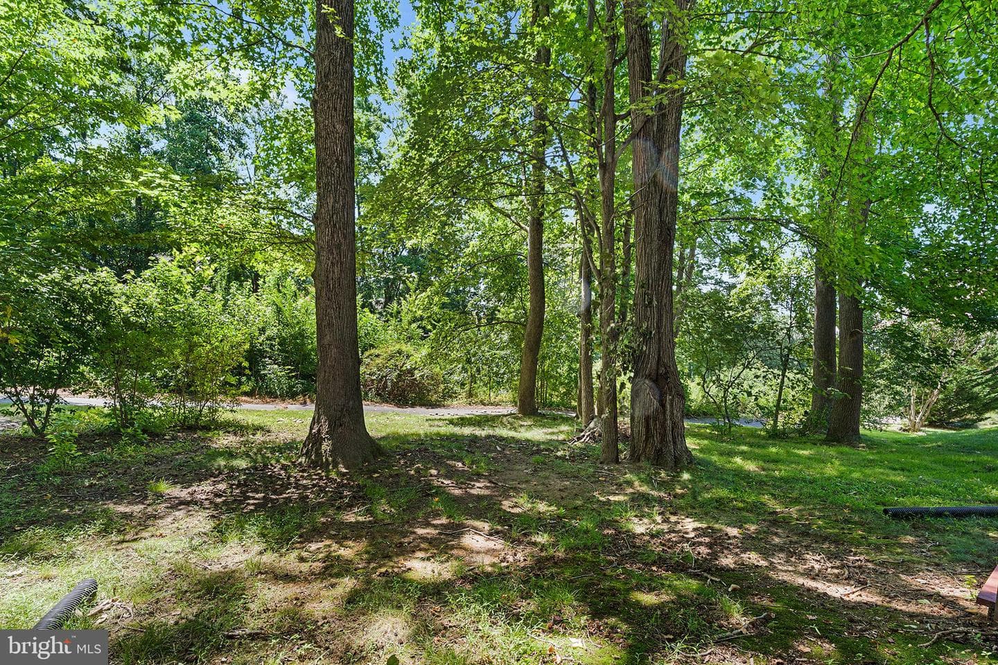 18 Guilford Court photo 37