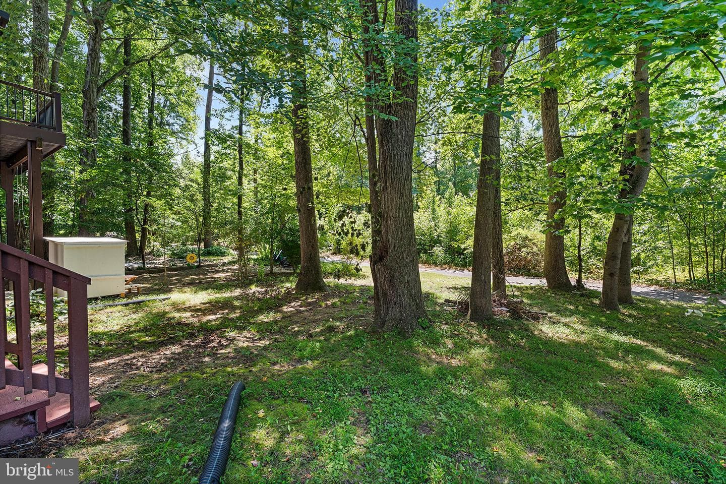 18 Guilford Court photo 38