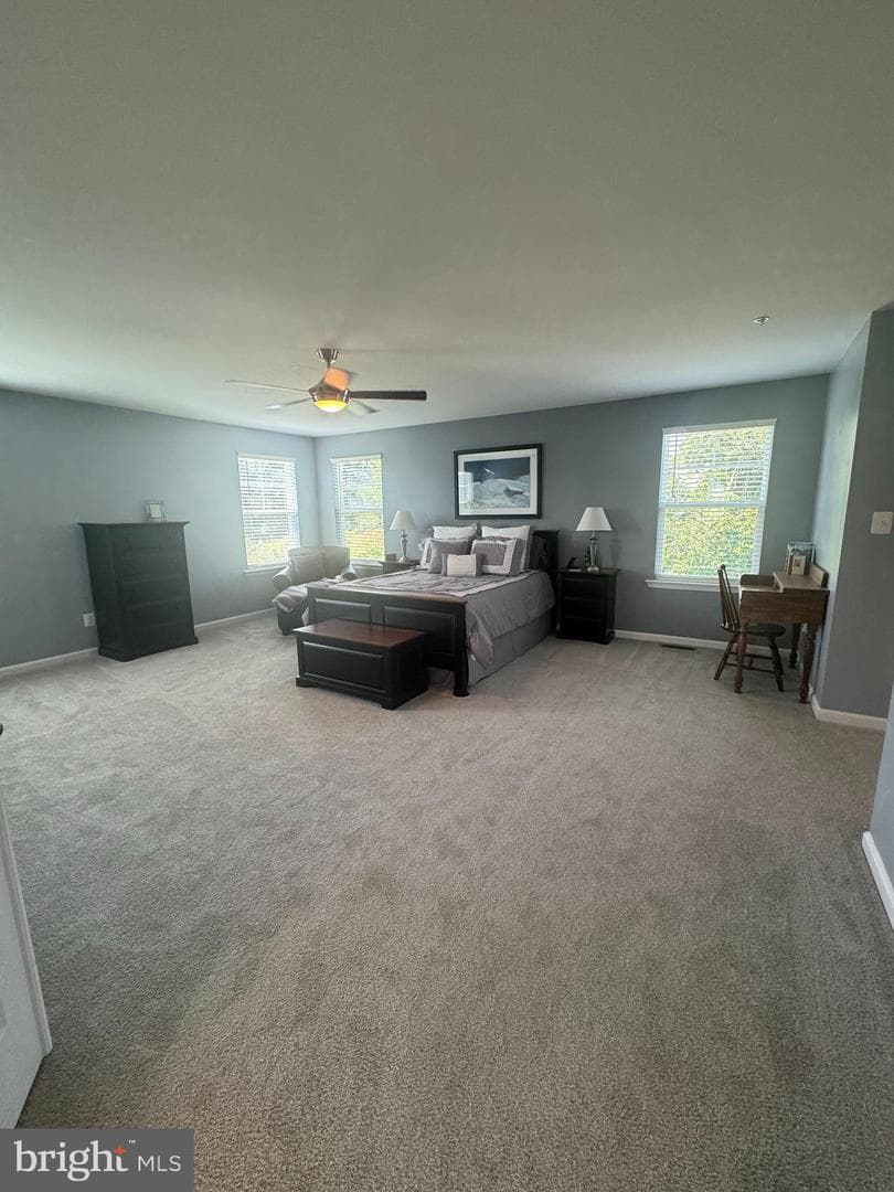 40 Rock Hollow Court photo 28
