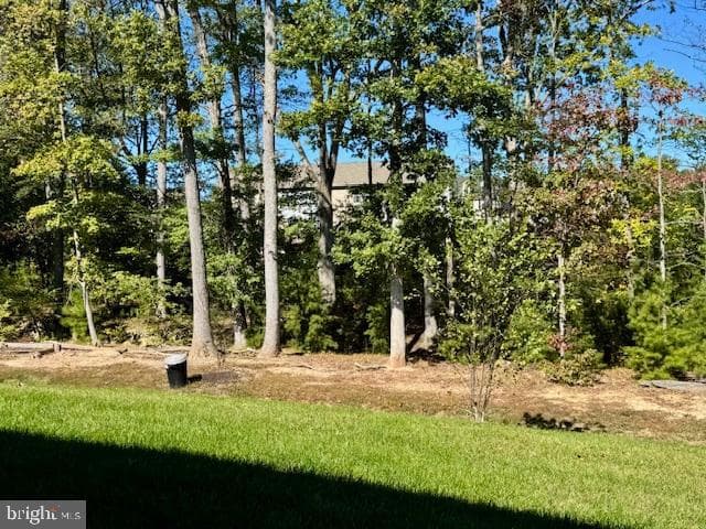 358 E Calvert Crossing photo 27
