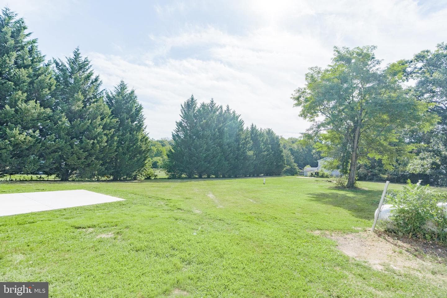 7 Meadow Drive photo 18