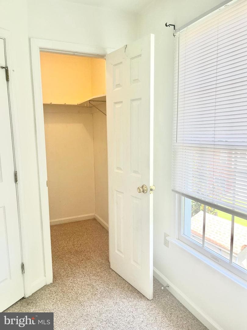 18 Thyme Street photo 17