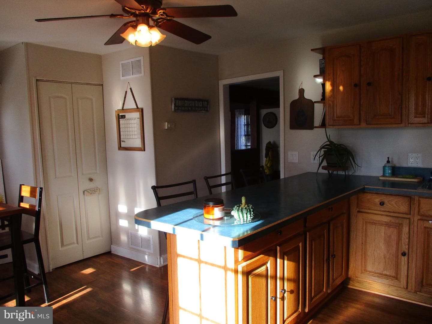 47 Birch Road photo 26