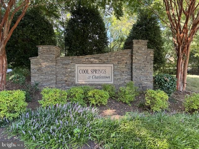 137 Cool Springs Road photo 43