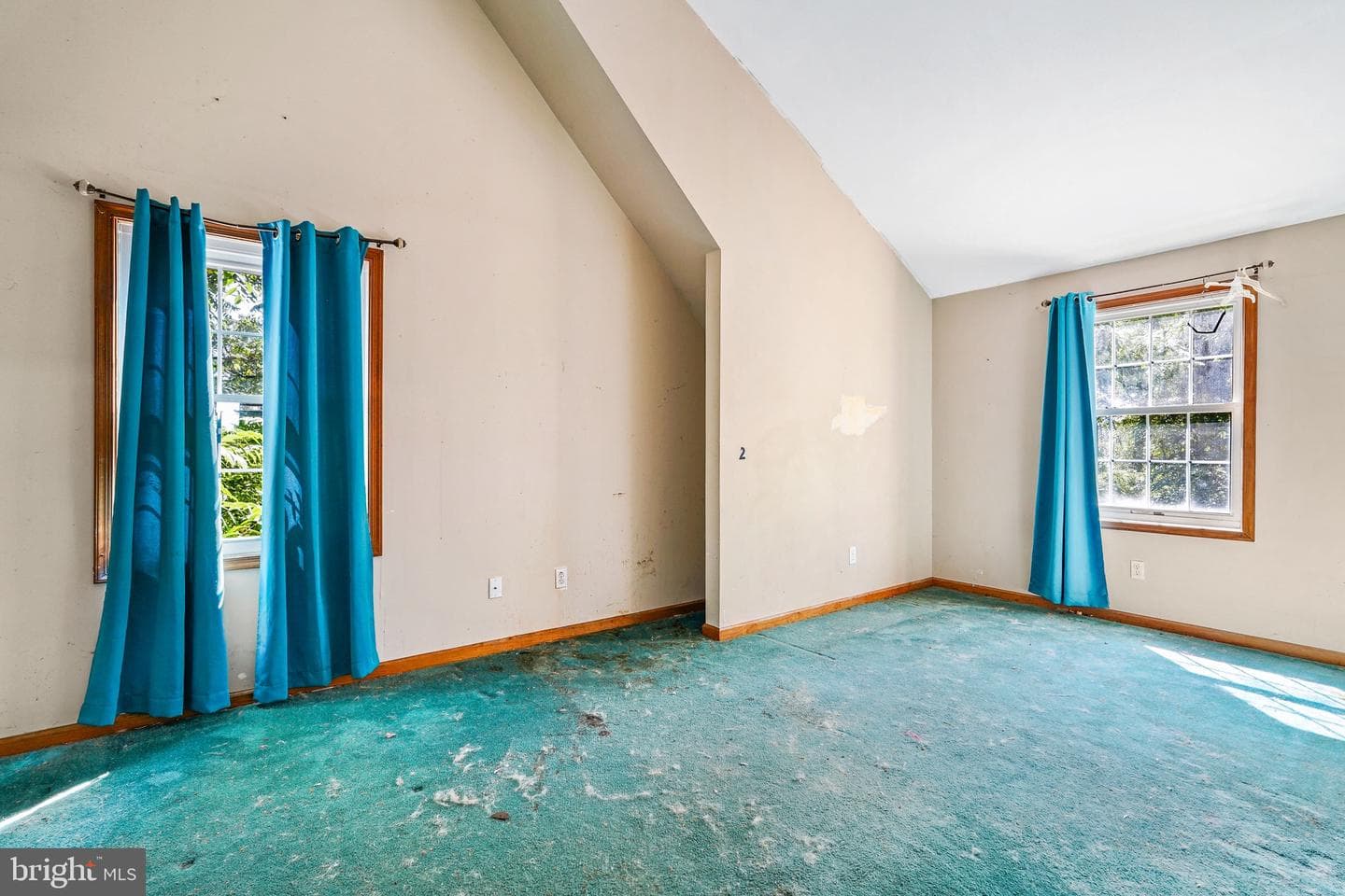 224 W Cecil Avenue photo 17