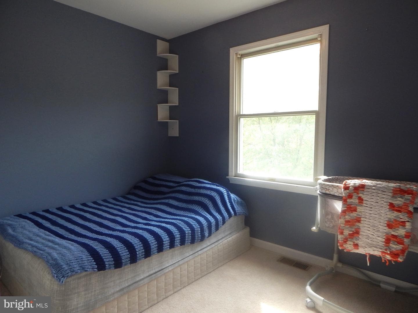 7 White Birch Drive photo 14