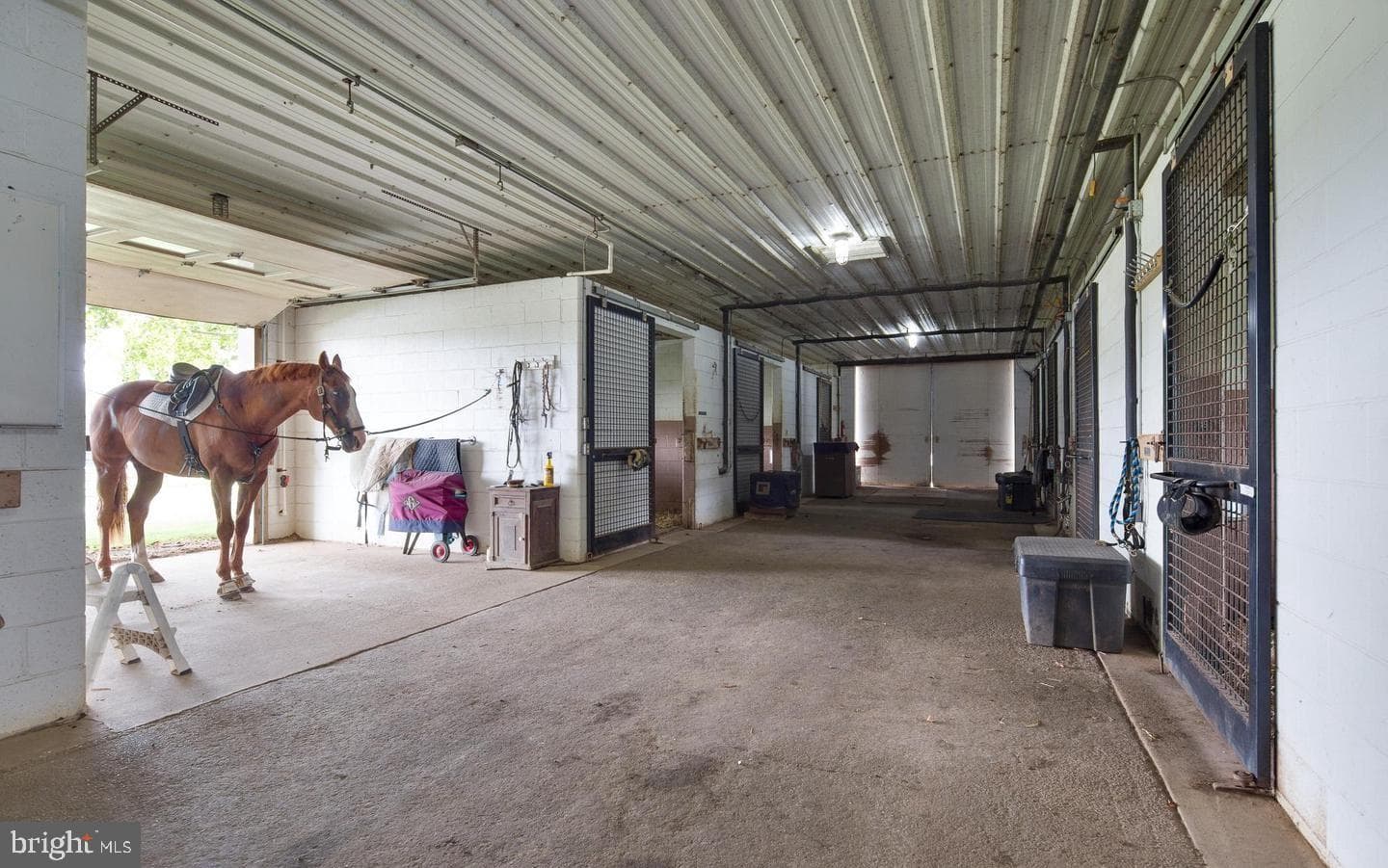 2 Preakness Place photo 25